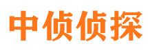 加查市侦探调查公司